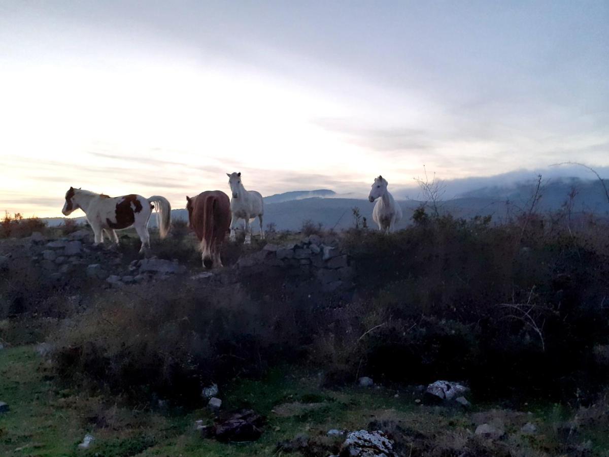 הוילה Soto en Cameros Casasdetrevijano Mirador De Mateo מראה חיצוני תמונה
