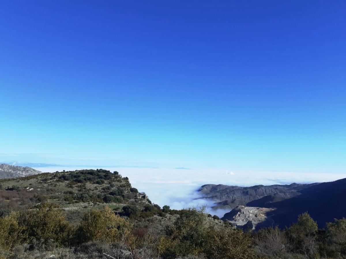 הוילה Soto en Cameros Casasdetrevijano Mirador De Mateo מראה חיצוני תמונה